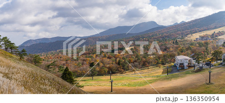 日本　鳥取県西伯郡大山町にある豪円山のろし台から眺める大山の紅葉した木々 136350954