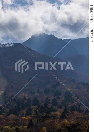 日本　鳥取県西伯郡大山町にある豪円山のろし台から眺める太陽に照らされた大山の紅葉した木々 136350961
