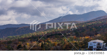 日本　鳥取県西伯郡大山町にある豪円山のろし台から眺める大山の紅葉した木々 136350963