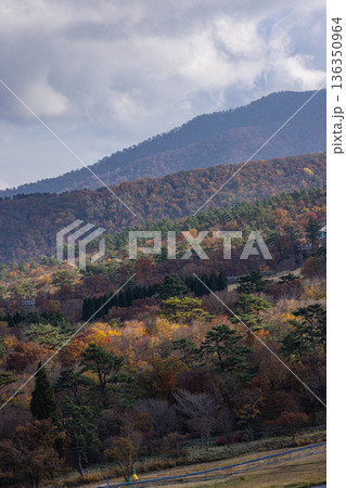 日本 鳥取県西伯郡大山町にある豪円山のろし台から眺める大山の紅葉した木々 日本 鳥取県西伯郡大山町にある豪円山のろし台から眺める大山の紅葉した木々 136350964