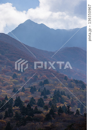 日本 鳥取県西伯郡大山町にある豪円山のろし台から眺める太陽に照らされた大山の紅葉した木々 日本 鳥取県西伯郡大山町にある豪円山のろし台から眺める太陽に照らされた大山の紅葉した木々 136350967