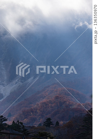 日本　鳥取県西伯郡大山町にある豪円山のろし台から眺める大山の紅葉した木々 136350970