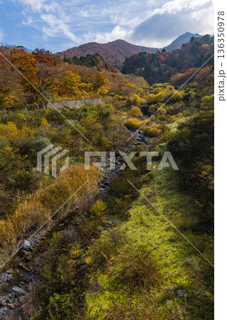 日本 鳥取県西伯郡大山町にある大山寺橋から眺める大山の紅葉した木々 日本 鳥取県西伯郡大山町にある大山寺橋から眺める大山の紅葉した木々 136350978