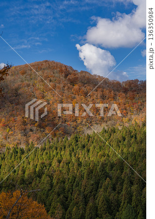 日本　鳥取県日野郡江府町にある鍵掛峠から眺める大山の紅葉した木々 136350984