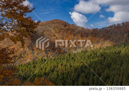 日本 鳥取県日野郡江府町にある鍵掛峠から眺める大山の紅葉した木々 日本 鳥取県日野郡江府町にある鍵掛峠から眺める大山の紅葉した木々 136350985