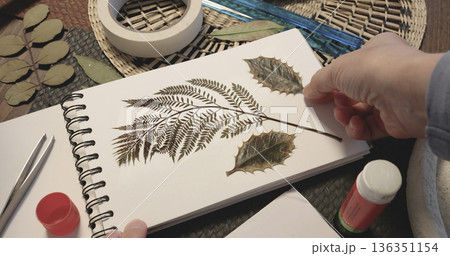 Anonymous person sticks leaf from plant. Collection of pressed and dried leaves and flowers in an album, herbarium. Handicrafts and hobbies. Exotic plants of the Mediterranean.  136351154