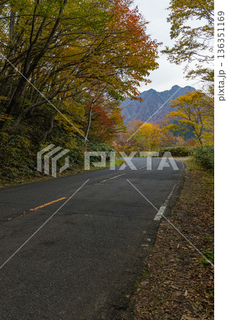 日本 鳥取県日野郡江府町の鍵掛峠から奧大山健康の森駐車場への道沿いの紅葉した木々 日本 鳥取県日野郡江府町の鍵掛峠から奧大山健康の森駐車場への道沿いの紅葉した木々 136351169