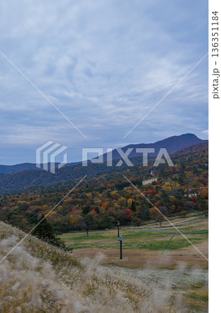 日本 鳥取県西伯郡大山町にある豪円山のろし台から眺める大山の紅葉した木々 日本 鳥取県西伯郡大山町にある豪円山のろし台から眺める大山の紅葉した木々 136351184