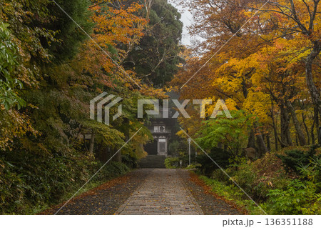 日本 鳥取県西伯郡大山町にある大山寺の参道沿いの紅葉 日本 鳥取県西伯郡大山町にある大山寺の参道沿いの紅葉 136351188