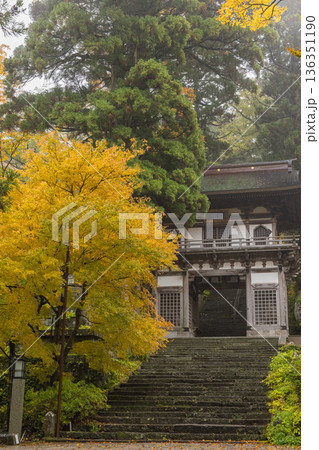 日本　鳥取県西伯郡大山町にある大山寺の紅葉に囲まれた仁王門 136351190