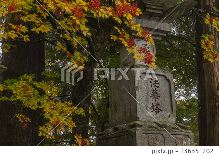 日本　鳥取県西伯郡大山町にある大山寺の寛政法華塔と紅葉 136351202