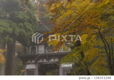 日本　鳥取県西伯郡大山町にある大山寺の紅葉に囲まれた仁王門 136351208