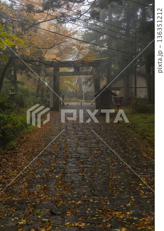 日本 鳥取県西伯郡大山町にある大神山神社、奥宮一の鳥居と紅葉 日本 鳥取県西伯郡大山町にある大神山神社、奥宮一の鳥居と紅葉 136351212