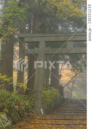 日本　鳥取県西伯郡大山町にある大神山神社、奥宮ニの鳥居と紅葉 136351219