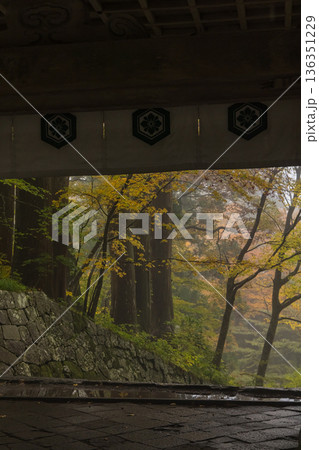 日本 鳥取県西伯郡大山町にある大神山神社、奥宮の紅葉に囲まれた神門 日本 鳥取県西伯郡大山町にある大神山神社、奥宮の紅葉に囲まれた神門 136351229