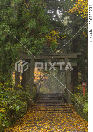 日本　鳥取県西伯郡大山町にある大神山神社、奥宮ニの鳥居と紅葉 136351234