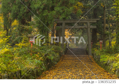 日本　鳥取県西伯郡大山町にある大神山神社、奥宮ニの鳥居と紅葉 136351235