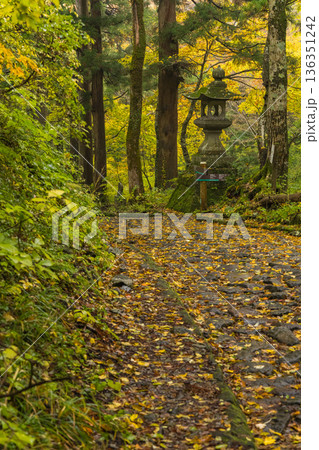 日本　鳥取県西伯郡大山町にある大神山神社の奥宮に向かう参道沿いの紅葉 136351242
