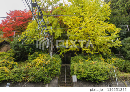 日本　鳥取県日野郡日南町にある境内の中に線路がある生山神社と紅葉 136351255