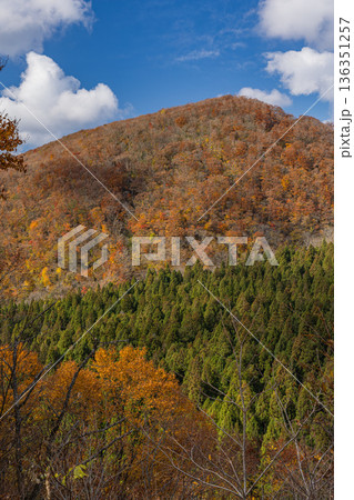 日本 鳥取県日野郡江府町にある鍵掛峠から眺める大山の紅葉した木々 日本 鳥取県日野郡江府町にある鍵掛峠から眺める大山の紅葉した木々 136351257