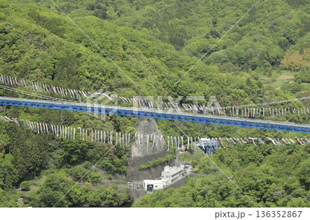 赤岩展望台から望む、新緑に包まれ、無数の鯉のぼりに彩られた竜神大吊橋 136352867
