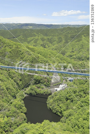 赤岩展望台から望む、新緑に包まれ、無数の鯉のぼりに彩られた竜神大吊橋 136352869