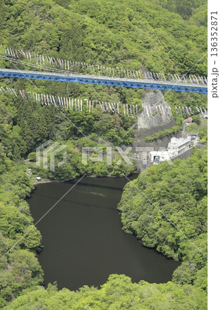 赤岩展望台から望む、新緑に包まれ、無数の鯉のぼりに彩られた竜神大吊橋 136352871