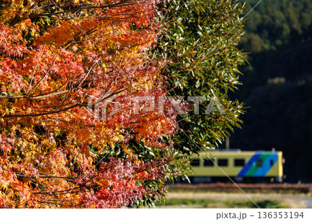 車窓から紅葉を楽しめる平成筑豊鉄道 136353194