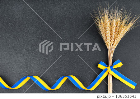 Wheat ears with blue and yellow ribbon on dark background with copy space, symbol of Ukraine Wheat ears with blue and yellow ribbon on dark background with copy space, symbol of Ukraine 136353643