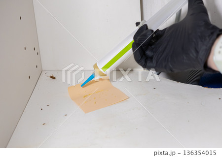 Expert applies pest control gel from applicator onto bait trap, combating severe cockroach infestation in dirty cabinet, ensuring hygiene Expert applies pest control gel from applicator onto bait trap, combating severe cockroach infestation in dirty cabinet, ensuring hygiene 136354015