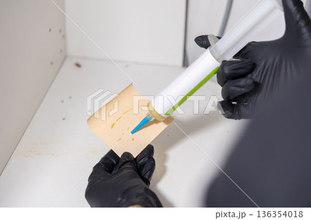 Professional in black glove carefully applies insect pest control gel bait to a paper trap for effective home hygiene extermination services Professional in black glove carefully applies insect pest control gel bait to a paper trap for effective home hygiene extermination services 136354018