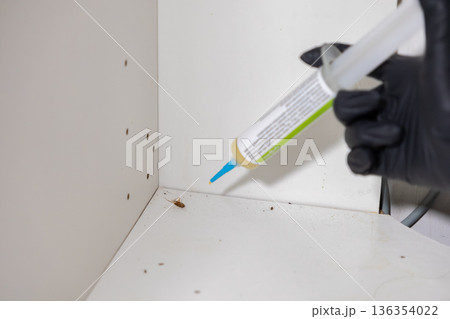 Person's gloved hand applies insecticide gel bait to a dirty cabinet corner, targeting a visible cockroach, for effective pest control and home hygiene solution Person's gloved hand applies insecticide gel bait to a dirty cabinet corner, targeting a visible cockroach, for effective pest control and home hygiene solution 136354022
