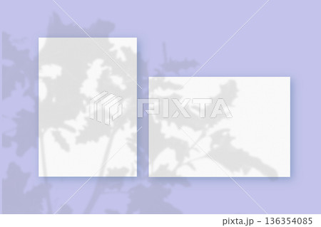 Natural lighting casts shadows from wildflowers on horizontal and vertical sheets of white textured paper against a purple wall background. Mockup 136354085