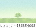 水彩風の草原と一本の木の背景　青空　新緑 136354092