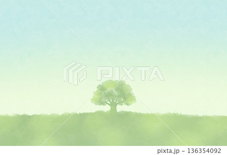 水彩風の草原と一本の木の背景　青空　新緑 136354092