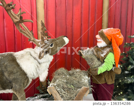 Charming reindeer statue and festive gnome figure, covered in artificial snow, stand by a hay manger, creating a magical Christmas holiday display Charming reindeer statue and festive gnome figure, covered in artificial snow, stand by a hay manger, creating a magical Christmas holiday display 136354286