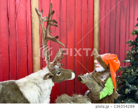 A charming plush reindeer and a festive gnome character, both covered in snow, share a winter moment, evoking holiday spirit and Nordic folklore 136354289
