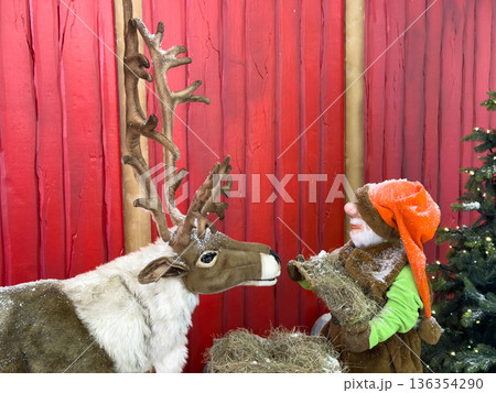 Whimsical holiday scene with a cheerful gnome feeding hay to a magnificent snow-dusted reindeer, embodying the enchanting spirit of Christmas 136354290
