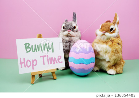 Bunny Hop Time text with rabbit and egg on pink and green background 136354405