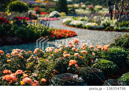 Spring flower gardens in the park and along the pathways in the late morning. Spring flower gardens in the park and along the pathways in the late morning. 136354786