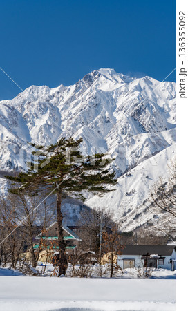 冬の晴れた日の冬景色　五竜岳を望む絶景 136355092