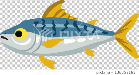 a marine fish shown in side view. Ideal for ocean life education, seafood concepts, kids learning materials, and modern graphic design projects 136355165