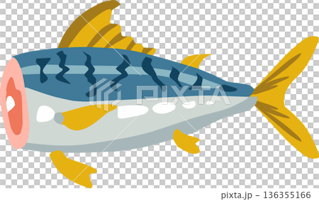 fish and seafood illustration of whole mackerel with cut section 136355166