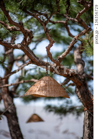 Rustic hanging straw lampshade on pine tree Rustic hanging straw lampshade on pine tree 136356729