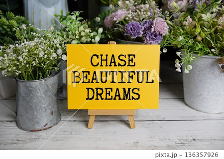 Chase Beautiful Dreams Motivational And Inspirational Quotes 136357926