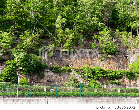 a high stone wall with trees growing on it. Spring vacation 136358072