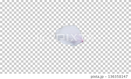 桜の花びら マクロ 背景透過 春イメージ 桜の花びら マクロ 背景透過 春イメージ 136358147