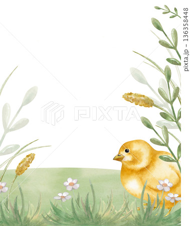 Vertical frame with a small yellow chicken in a green meadow. Easter watercolor illustration on an isolated background. A spring card in natural colors with an empty place to insert. 136358448