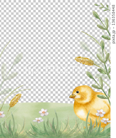 Vertical frame with a small yellow chicken in a green meadow. Easter watercolor illustration on an isolated background. A spring card in natural colors with an empty place to insert. 136358448
