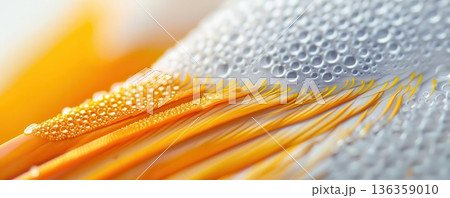 Close-up of water droplets on a surface, creating a textured and abstract background. Close-up of water droplets on a surface, creating a textured and abstract background. 136359010
